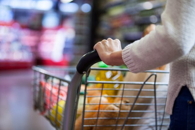 ショッピングカートに食料品を保持している女性