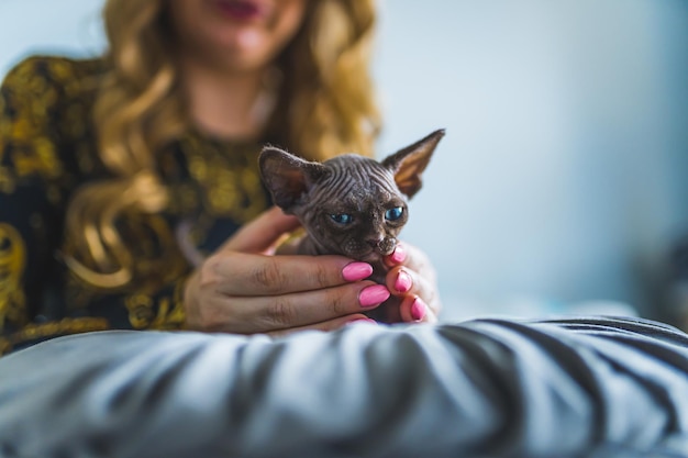 Woman holding her devon rex cat pets care concept