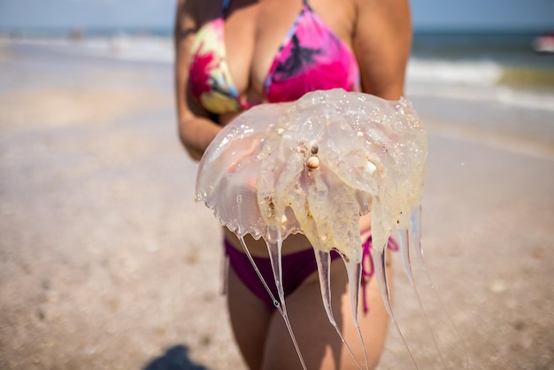 Woman holding jellyfish while standing on the coast