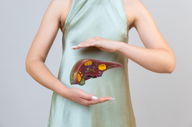 Woman holding liver in the hands Help and care concept