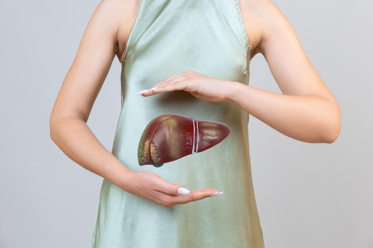 Photo woman holding liver in the hands help and care concept