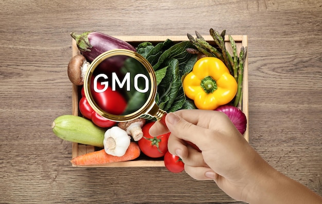 Photo woman holding magnifying glass over fresh vegetables on wooden table top view gmo concept