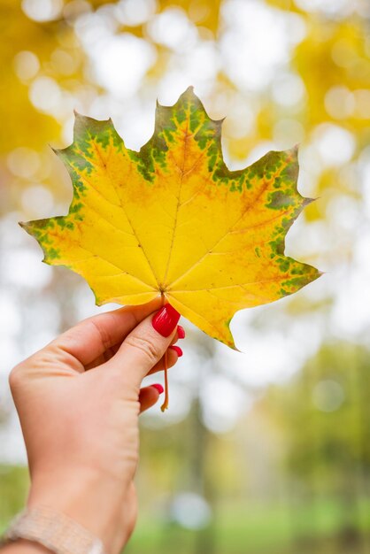 A woman holding a maple leaf in her hand