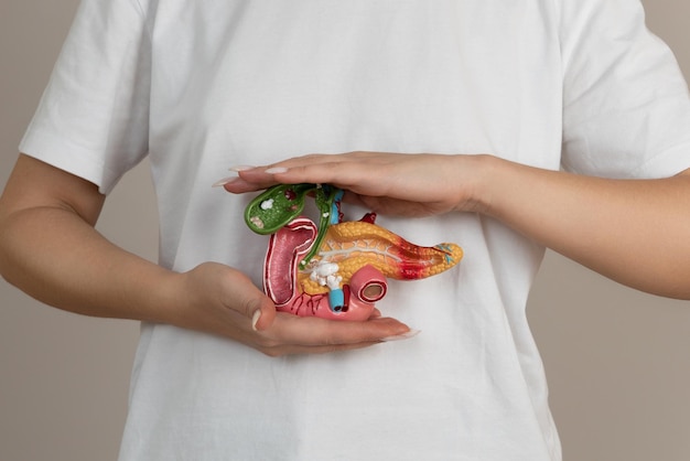 Woman holding pancreas in the hands Help and care concept