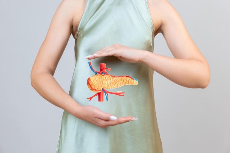 Photo woman holding pancreas in the hands help and care concept