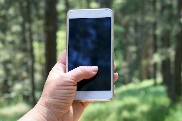 Photo woman holding phone in hand in the forst