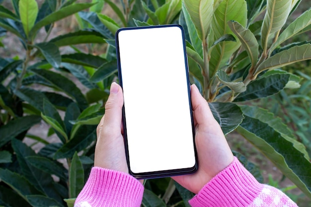 Woman holding phone with blank white mockup screen