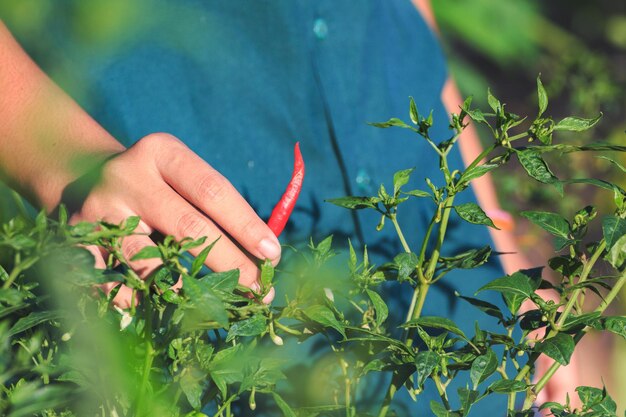 Woman holding plant