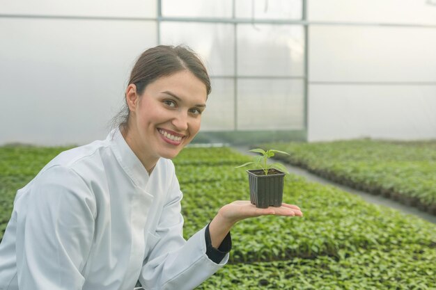 温室の苗床で鉢植えの植物を保持している女性。苗の温室。