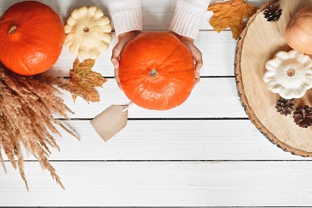 Donna che tiene la zucca accanto alle verdure mature dal giardino autunnale su sfondo bianco