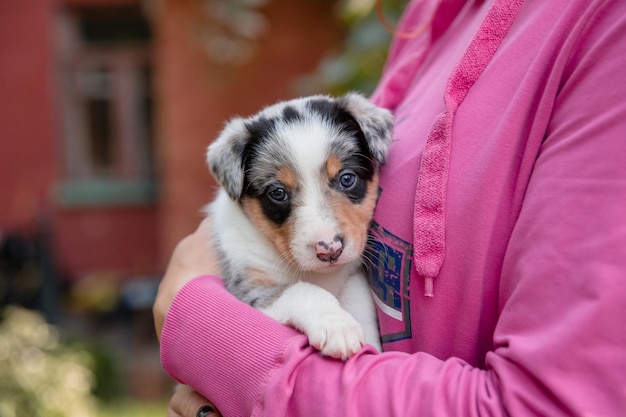 子犬を両腕に抱えている女性。