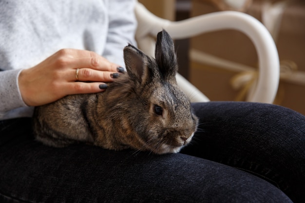 Woman holding rabbit or Easter bunny