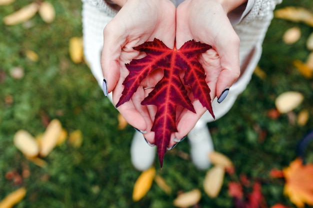 Woman holding red leaf