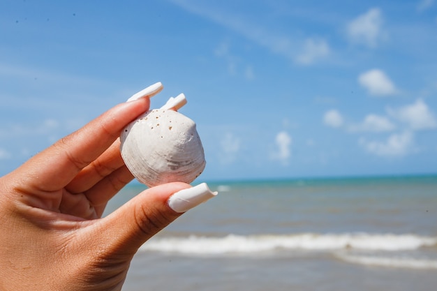 Woman holding shell in hand with ocean in the background. Beach