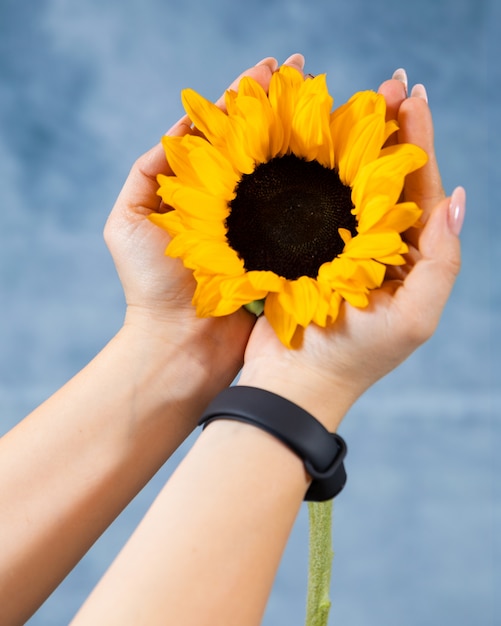 Woman holding single sunflower