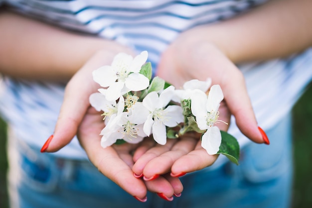 春の花を手に持っている女性春の花抽象的なぼやけた背景春