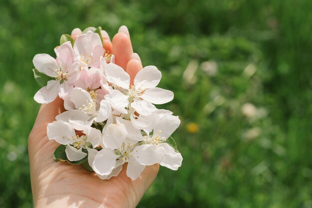 春の花を手に持っている女性春の花抽象的なぼやけた背景春