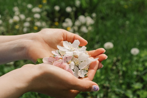 Woman holding spring flowers in her hands spring flowers