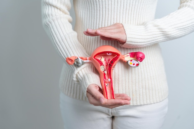 Foto donna che tiene il modello di utero e ovaie cancro ovarico e cervicale disturbo della cervice endometriosi isterectomia fibromi uterini sistema riproduttivo e concetto di gravidanza