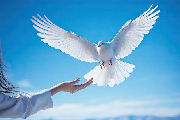 A woman holding a white dove in her hand with the sky and mountains in the background she is wearing a long sleeved