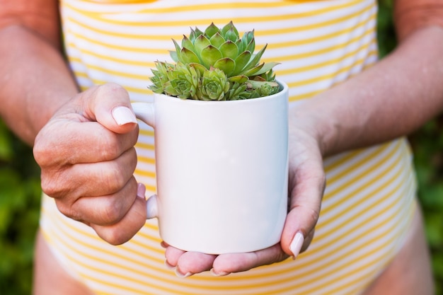 Photo woman holding a white mug with a succulent plant inside