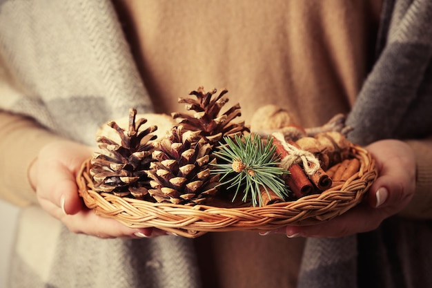 Woman holding wicker basket with nuts and evergreen closeup