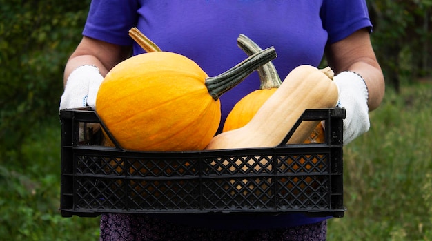 A woman holds a basket of vegetables from the farmers market.