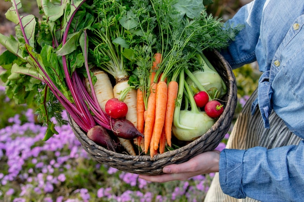 Woman holds a basket with vegetables in garden