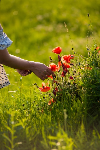 A woman holds a flower in a field of wildflowers.