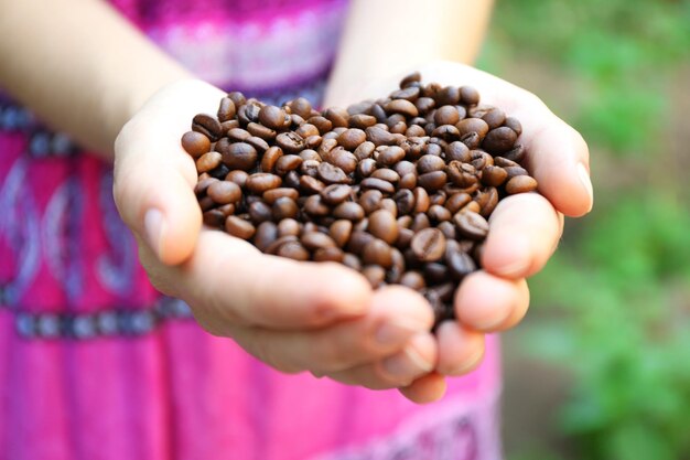 Woman holds in hands roasted coffee beans heart shaped