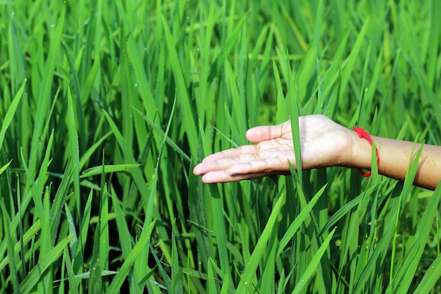 A woman holds her hand out in a field of green grass.