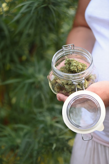 Woman holds jar with dried CBD flowers for medicinal use in plantation.