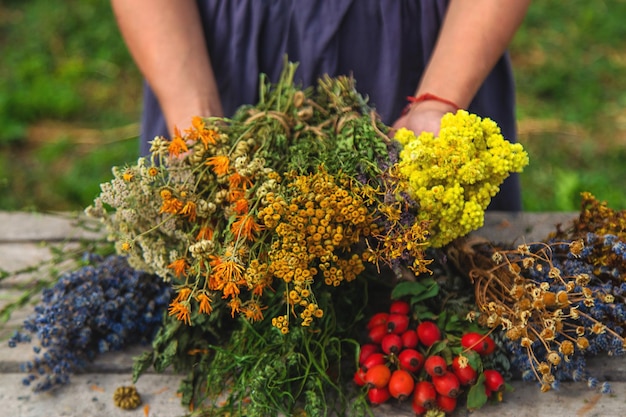 A woman holds medicinal herbs in her hands Selective focus