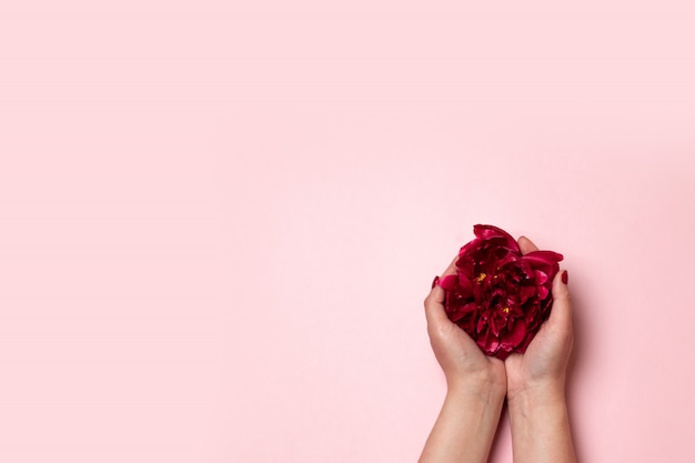 Woman holds peony flowers