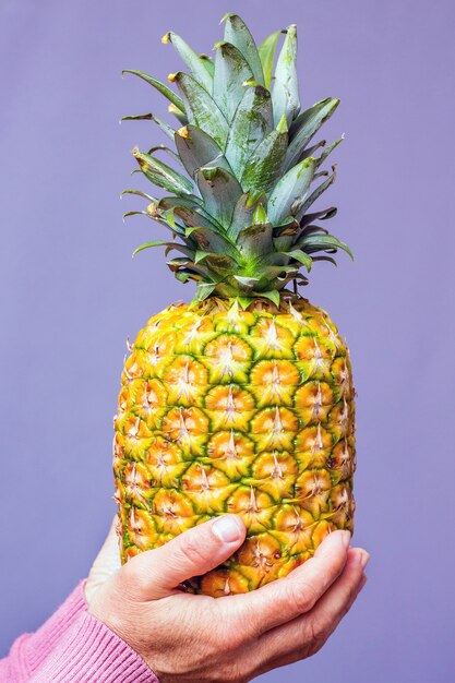 A woman holds a pineapple in the purple