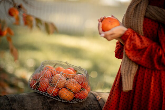 Photo a woman holds a ripe harvest of tangerines in her hands.