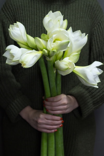 Woman holds several huge white hippeastrum in her hands