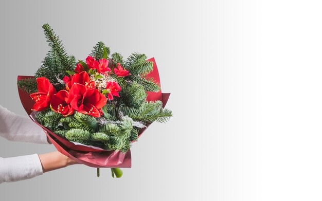 A woman holds winter bouquet with amaryllis fir branches alstroemeria