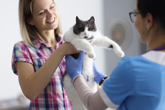 woman and home cat at veterinary clinic