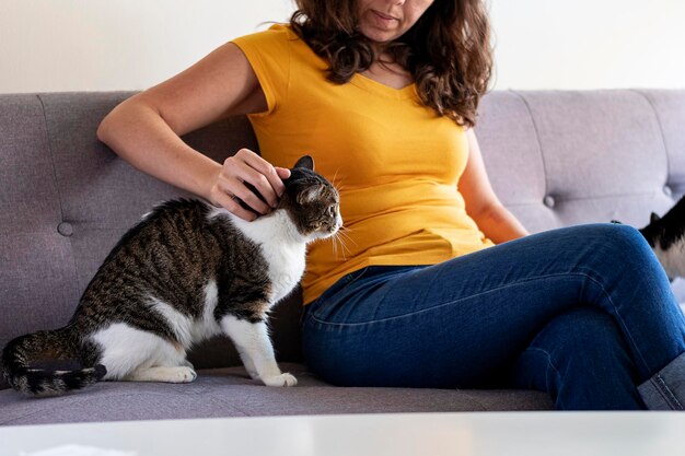 Woman at home tenderly stroking striped and white cat with pet