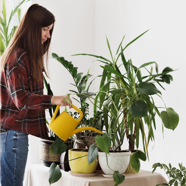 Foto piante domestiche delle piante di innaffiatura della donna a casa