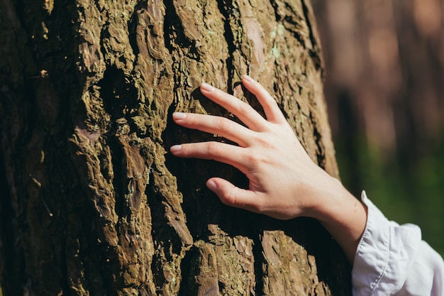 Woman hugged a tree with love in the forest