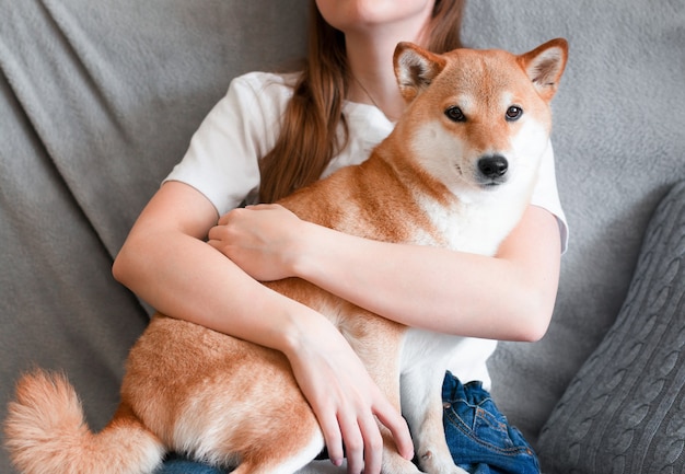 A woman hugs a cute red dog shiba inu sitting on her lap at\
home closeup front view