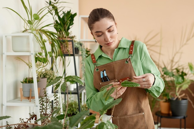 写真 家の植物の葉を調べている女性