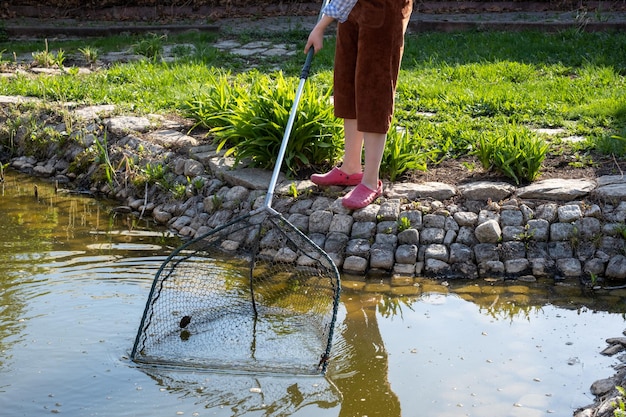 Женщина чистит садовый пруд от зеленых водорослей