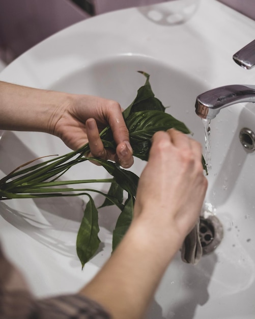 Женщина чистит растения от насекомых под краном