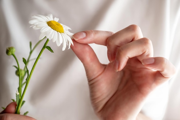 Woman is guessing on daisy holding flower in her hand