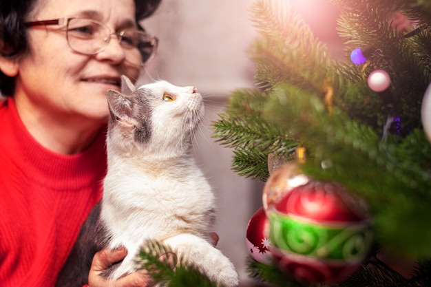 女性がおもちゃでクリスマス ツリーの近くに猫を抱いています。猫はクリスマス ツリーの飾りやおもちゃを注意深く見ています。