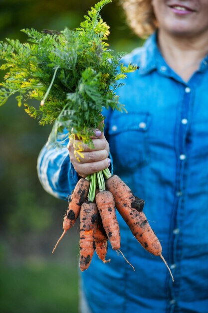 A woman is holding a fresh carrot with tops.