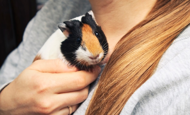 The woman is holding the guinea pig on her shoulders